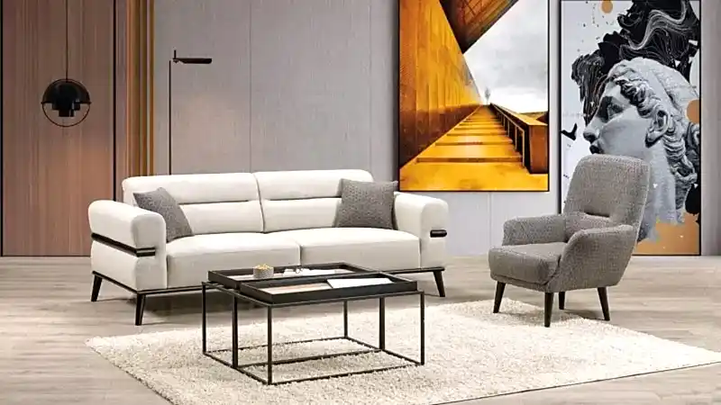 GOSNUG KOLTUK TAKIMI